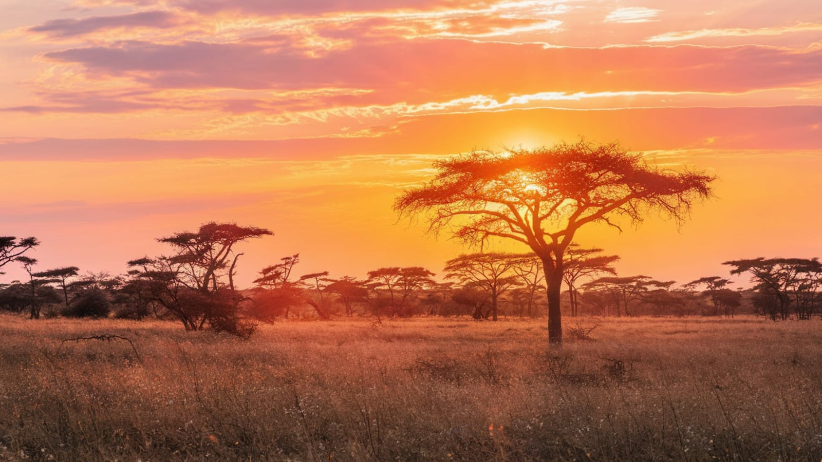 Breathtaking sunrise over the Masai Mara during my Kenya safari adventure